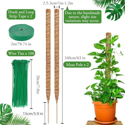 COZCLAM 2Pcs 63'' Moss Pole for Monstera Bendable Cheese Plant Support pole - Image 2