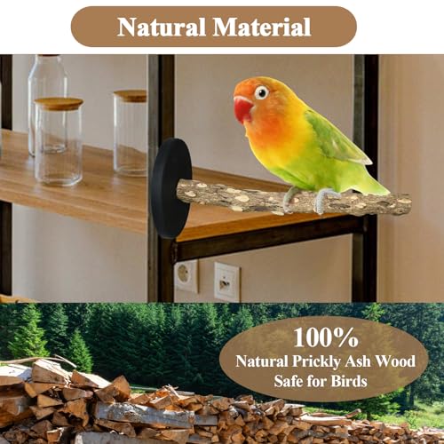 Image of Bird Stand Perch Toy, Double Layer Spinning Parakeet Toys Exercise Wheel Cockatiel Toy for Cages Wooden Perchs for Small & Medium Birds Cage Accessories for Parakeets Lovebirds Conures (Black)