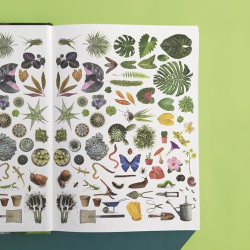 Minhas plantas - jardinagem para todos: (até quem mata cactos)