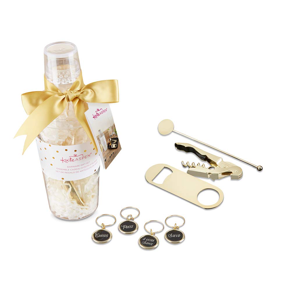 Kate Aspen Barware Gift Set in Clear Acrylic Cocktail Shaker coasters, gold