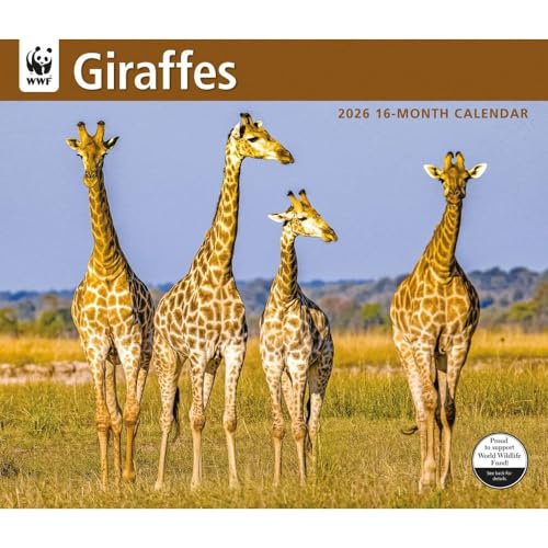 Carousel Calendars, Giraffes WWF 2026 Wall Calendar, 14'' X 12'', 16-Month Calendar with Stapled Binding