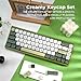 XVX MOA Profile Matcha Panda PBT Dye-Sub Keycaps Set, 143-Key Green & Creamy Keycaps for Mechanical Keyboards (Compatible with 61/64/68/84/87/100/104/108 Cherry MX Switches)