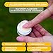 HayMax Heuschnupfen Nasenfilter - Pur 5 ml – Bio Allergie Nasenfilter bei Pollenallergie, macht nicht müde – Fängt Pollen, Staub und Allergene ab – Für Erwachsene, Kinder und Schwangere geeignet