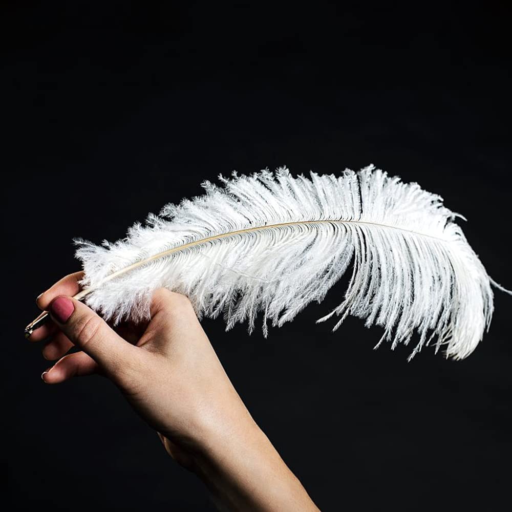 R) 20 x naturale di struzzo 25-30cm decorazione feste bianche