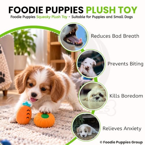 Image of Foodie Puppies Dog Squeaky Plush Toy - Receive 1 Random Plush Toy Only | Design May Vary | Soft & Durable Chew Toy for Puppies & Small Dogs | Playtime & Teething