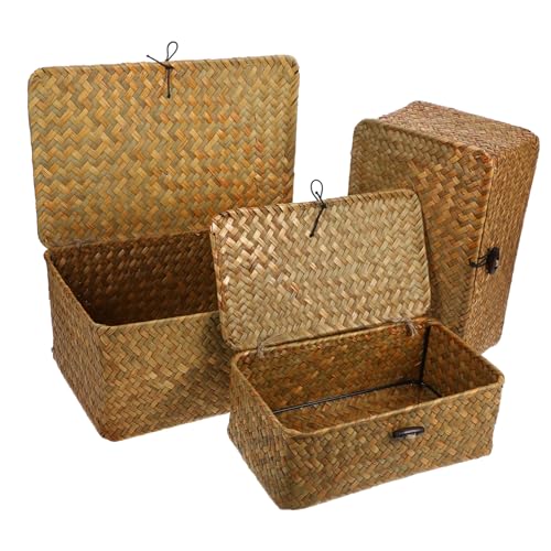 CONGARTENO 3 piezas Cestas de Almacenamiento Tejidas Mano de Algas Marinas con Tapa de S Cajas Organizadoras Naturales para Escritorio y Hogar Multifuncionales y Decorativas