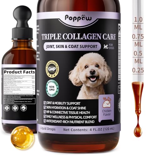 POPPAW Collagen for Dogs - 12-in-1 Liquid Collagen for Skin & Coat Support Hip & Joint with Types I II & III Drops Hyaluronic Acid Green-Lipped Mussel - Chicken Flavor 4 FL Oz Pack of 1