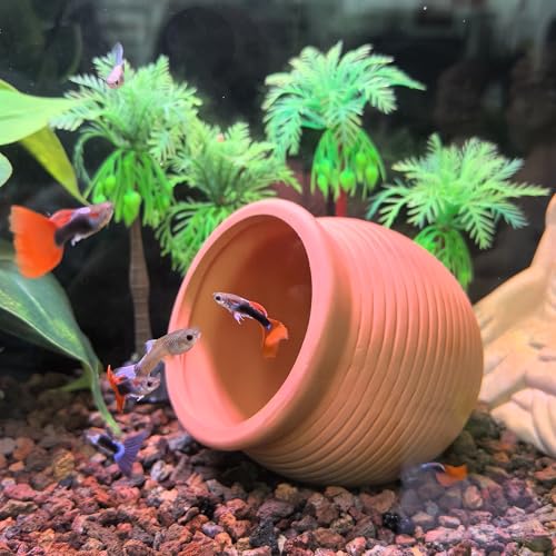 Image of M2cbridge Pottery Ceramic Jar Natural Clay Vase for Cichlid Small Fish Shrimp Aquarium Decor to Play Hide Breed Habitat (Red Pots, 2pcs)