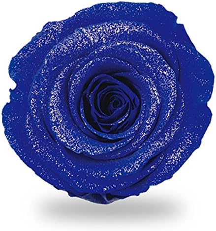 アモローサ Amorosa DI-PIN-04 Preserved Flowers, Diamond, Feminine Pink, 3 Wheels