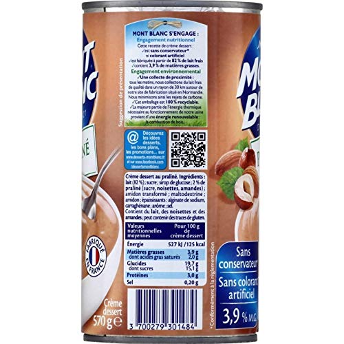 Mont Blanc - Crème Dessert Au Praliné 570G - Lot De 4 - Vendu Par Lot - Livraison Gratuite En France