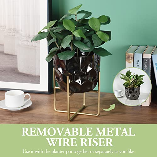 Macetas, Home Imagen adicional