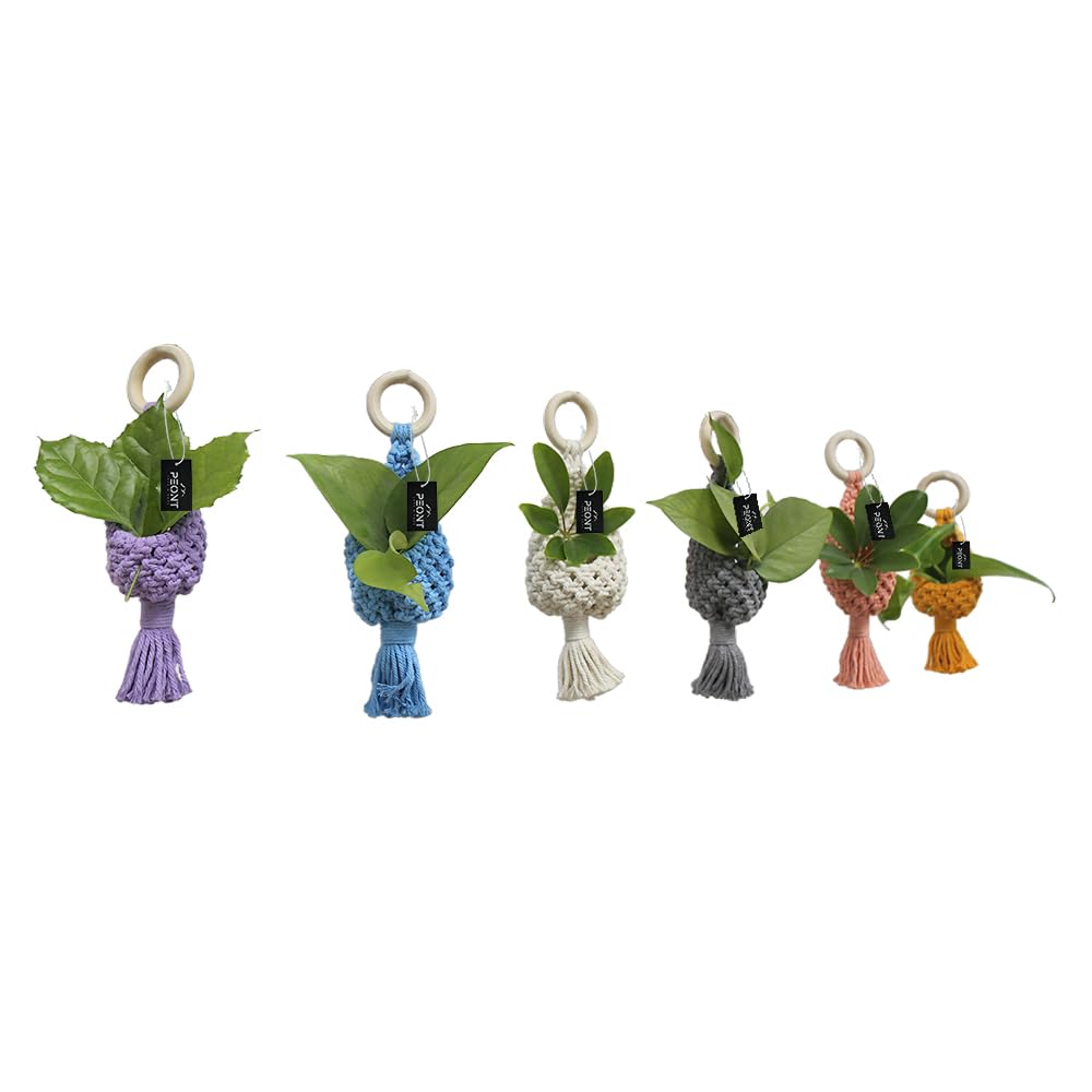 Decorative Mini Plant Hangers with Tassels, Macrame Knitted Design, Set of 6, Purple Blue White Gray Pink Orange