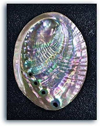 4-4.5 Inch Large Abalone Shell Bowl Natural Bulk Abalone Shell Smudge Bowl Incense Burner for Sage Burning