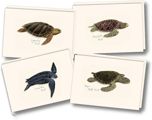 Earth Sky + Water - Juego de tarjetas de notas surtidas de tortugas marinas - 8 tarjetas en blanco con sobres (2 de cada uno de 4 estilos)