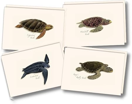 Earth Sky + Water - Sea Turtle Assortment Notecard Set - 8 Blank Cards with Envelopes 2 each of 4 styles