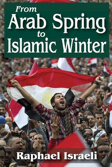 Buy From Arab Spring to Islamic Winter — BookShops.in