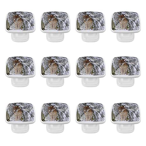 Boutons de tiroir loup des neiges pour relooker un meuble de placard - 2