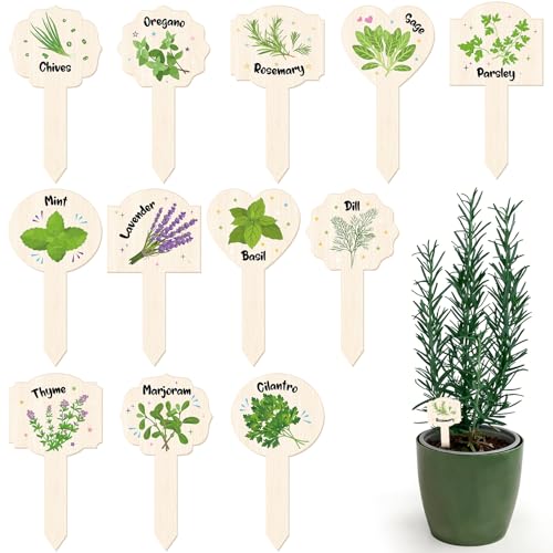 Abilat 24 Pcs Acrylic Plant Label Signs Garden Herb Markers Waterproof Plant Tags with Printed Name for Indoor Outdoor Nursery Garden Decoration