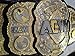 AA Fitness Gear AEW World Championship Title Belt All Elite Wrestling Championship Adult Size AEW Championship Belt