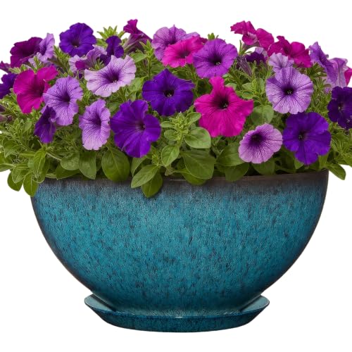 GROWSCAPE Rosie Planter Bowl, with Drainage and Saucer...