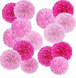 PAPER JAZZ Party Decorations Pom Poms - 20 pcs Hot Pink Tissue Paper Pom Poms Decorations for Wedding Table Decoration Birthday Baby Shower Decorations Prom Garden Party Decorations