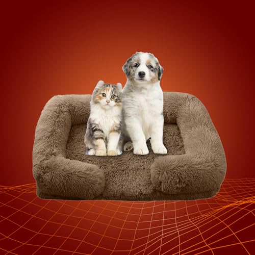 Dnzzs  xbh ~p L ӂӂ ybgxbh g h RۖhL pxbh Lpxbh ybg\t@[ h_j zM ÓdCh~ 􂦂(J[LASj