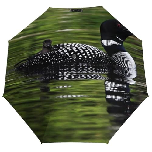 RSTKGKJS Loon Nature Bird Print 3 Fold Umbrella UV-Blocking, And