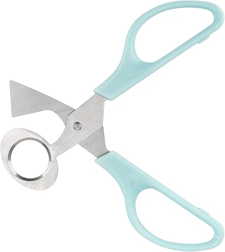 Miniatura 5 de Paquete de 100 cartones de huevos de codorniz, contenedor de almacenamiento de huevos pequeños de 15 cavidades, 2 tijeras cortadoras de huevos de