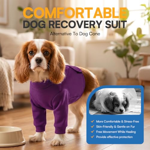 Image of Queenmore Recovery Sleeve for Dogs Front Leg, Adjustable Dog Recovery Suit for Front Legs, Breathable Suitical Recovery Sleeve for Large Breeds, Purple, L