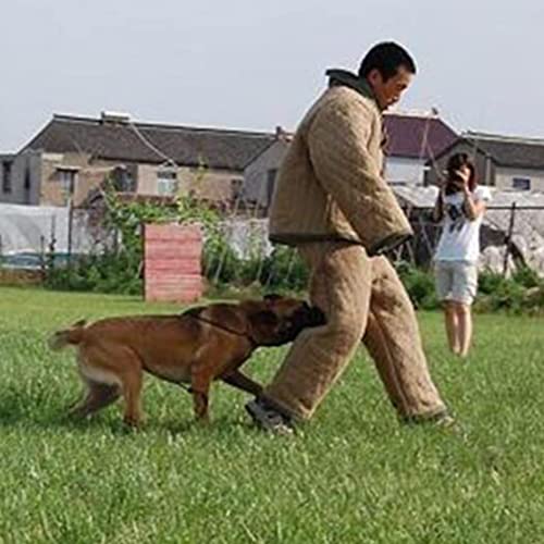 Utilisation terrain de la combinaison anti-morsure chien