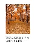 京都の紅葉おすすめスポット11選