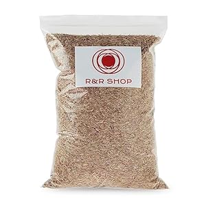 R&R SHOP – Zaden voor resistent gazon, raaigras, snelle groei en beloopbaar, geschikt voor alle grondsoorten (900gr-35mq)