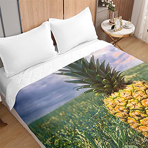 Colchas bouti estampadas de piña fruta para un dormitorio fresco 5