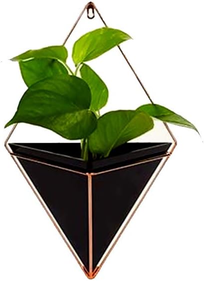 Ruiting Geometric Hanging Basket Planter Wall Planting Pot Decor Indoor Flower Pot Wall Mount Plant Holder