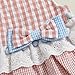 Newborn Infant Baby Girl Clothes Sleeveless Plaid Romper Dress Bow Layer Tutu Dresses Bow Headband Summer Bodysuit (US, Age, 3 Months, 6 Months, Pink Blue Dress)