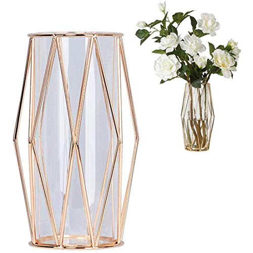 Vase Glas Blumenvase Mit Geometrischem Metallständer, Kristallklare Terrarien Pflanzgefäß Knospen-glasvasen Vase Für Pampasgras, Herzstück Für Zuhause/Büro/Hochzeit (Champagner Gold, Klein) Cover