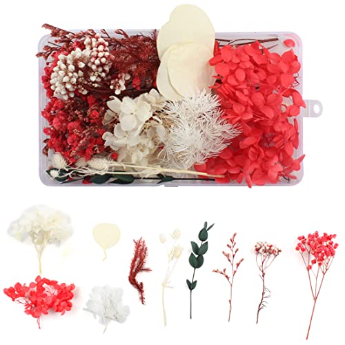 WJIAEER séché naturel séché fleurs artisanales décoration fleurs sauvages artisanat mixte DIY époxy scrapbooking accessoires bougie artisanale DIY (F) Cover