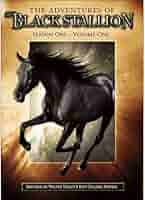 その他 Adventures of Black Stallion: First Season [DVD] Amazon.com: The Adventures of The Black Stallion: Season 1