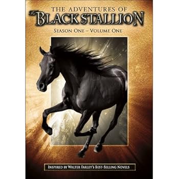 DVD Adventures of the Black Stallion: Volume 1 Book
