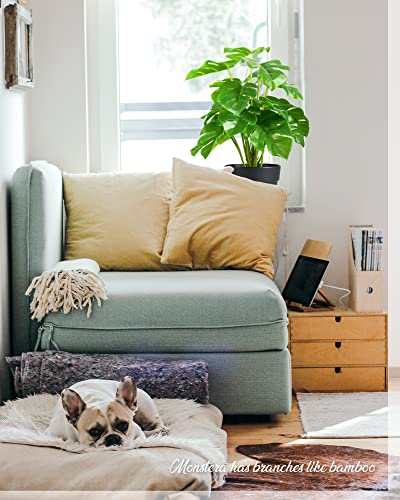 Keloteven Artificial Monstera Plant With Plastic Nursery Pot Artificial Potted Plants 12-Inch Small Fake Plants Faux Plants For Office Desk Shelf Bathroom Home Decor #TOP6