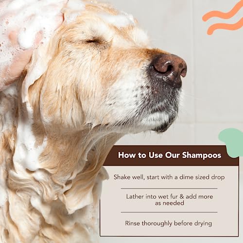 Natural Dog Company Sensitive Skin Shampoo, 12 Oz., Dog Shampoo Oatmeal, Dog Dandruff Shampoo, Hypoallergenic, Plant Based Ingredients, Dog Bathing Supplies, Itchy Skin Relief For Dogs #TOP3