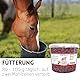 Supravit Rote Beete Chips - 2kg Eimer Pferdeleckerlis ohne Zucker - für alle Pferde – 100% Natur ohne Zusatzstoffe – als schmackhafte Pferdeleckerlis oder als Zusatzfutter