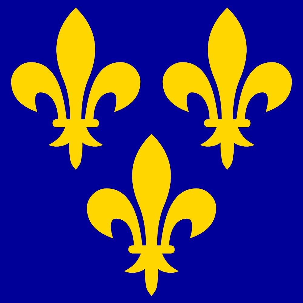 Drapeau France XIV-XVI XL pour décorer un salon de passionné d'histoire de France