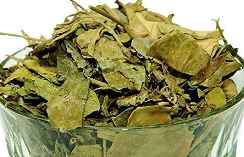 VedoMax Gurmar Leaves - Gudmar Leaves - Gymnema Sylvestre - Periploca Of The Woods - рдЧреБрд░рдорд╛рд░ рдкрддреНрддрд┐рдпрд╛рдВ (100 GM)