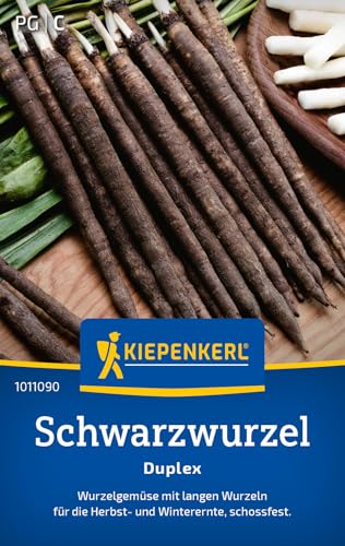 Kiepenkerl Schwarzwurzelsamen Duplex 1011090 – Gemüsesamen für ein Wurzelgemüse mit langen Wurzeln und einem Inhalt für 3 bis 5 lfd. Meter -...