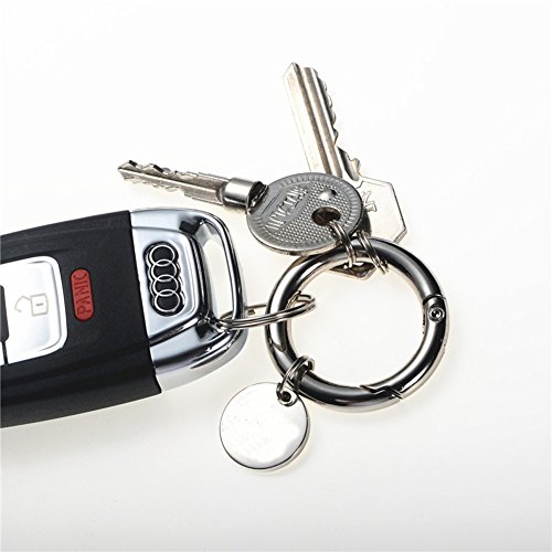 Svaitend Zinc Alloy Round Carabiner Spring Snap Clips Hook Keychain Keyring Buckle,3 Size,15 Pieces