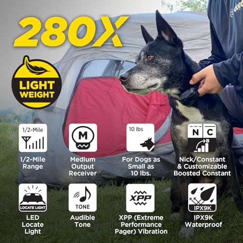 Image of Dogtra 280X E-Collar with Remote - [X-Shield Front Plate - Champagne Gold] 10 lbs+, 1 /2 Mile Range, LED Light, 100 Levels for Stubborn Dogs