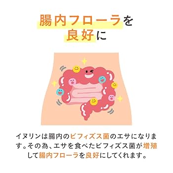 Amazon | LOHAStyle(ロハスタイル) イヌリン 顆粒 500g 機能性