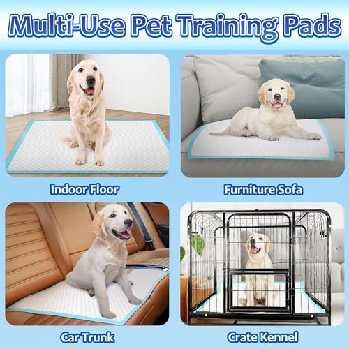Image of 60 Basics Dog and Puppy Pee Pads with 5-Layer Leak-Proof Design and Quick-Dry Surface for Potty Training, Heavy Duty Absorbency, XL (Blue )
