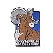 Rocky Mountain National Park Travel Souvenir Patch